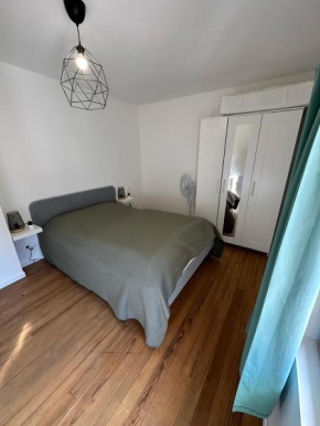 Superbe appartement mansardé avec mezzanine - proche centre ville, thermes, aquensis